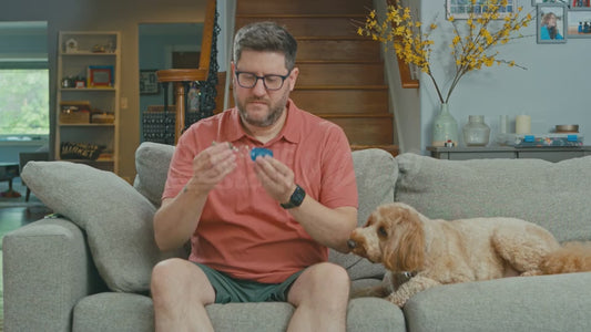 Man on Couch Wearing Keys as an Eye Patch While His Dog Observes the Situation