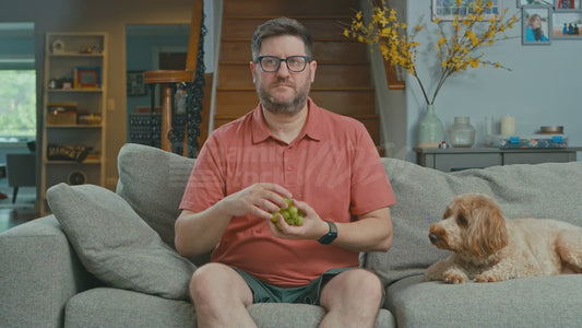Man on Couch Puts Too Many Grapes in His Mouth