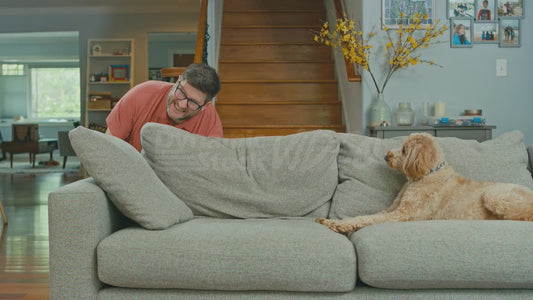 Man Trying to Lift Couch While Dog Sits There Watching